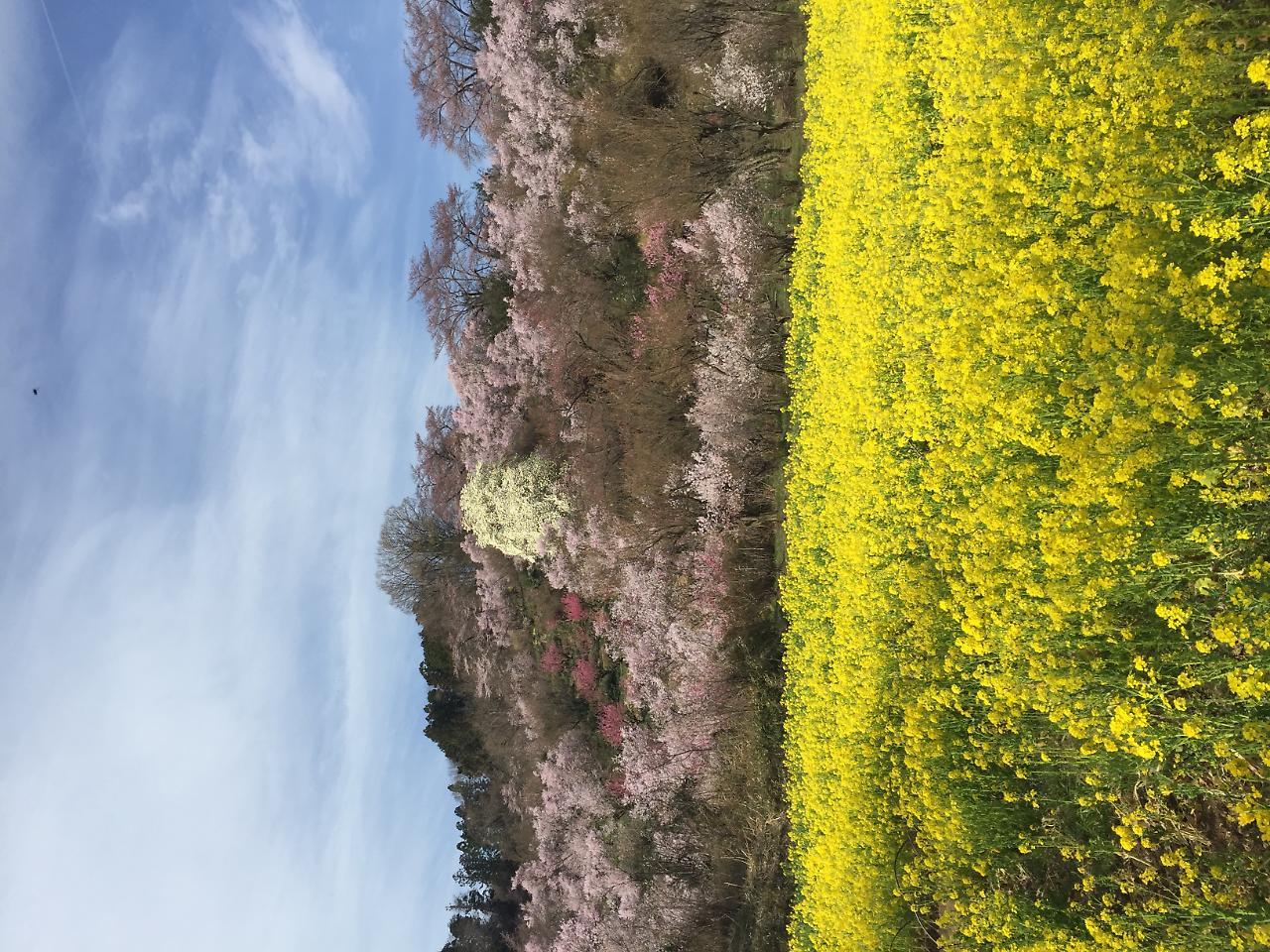 Hotel Sunroute Fukushima Bagian luar foto
