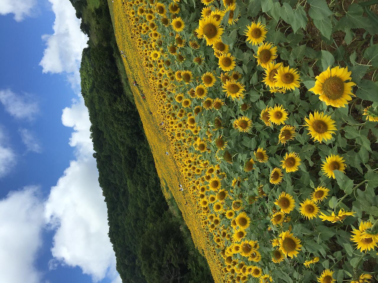 Hotel Sunroute Fukushima Bagian luar foto